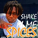 spices - shake fi me