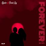Gyakie Forever Remix ft Omah Lay