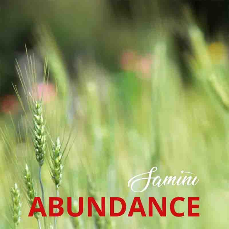 Samini Abundance